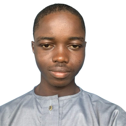 Mohamed S Dumbuya image