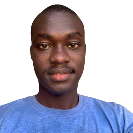 Mohamed S Dumbuya image